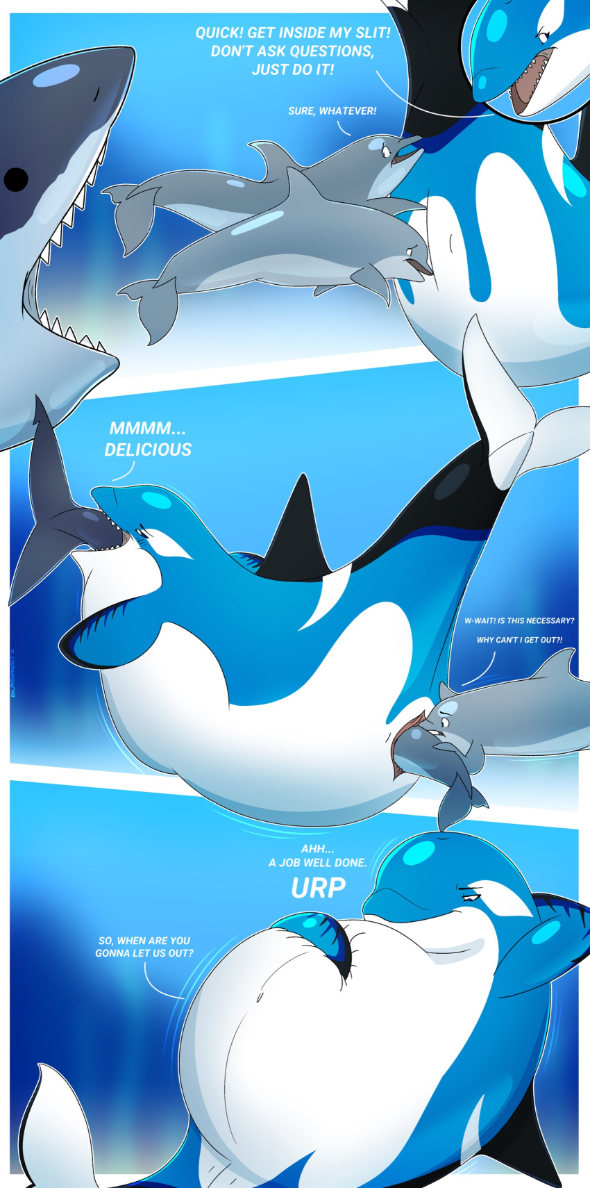 The dark entrance to the Dolphin Rape Cave beckons