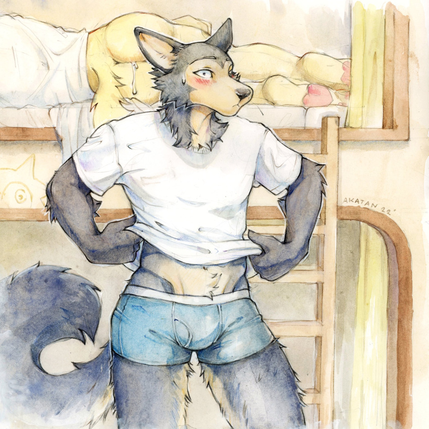 Rule 34 2022 After Sex Akatan Art Anthro Ass Beastars Bed Big Butt