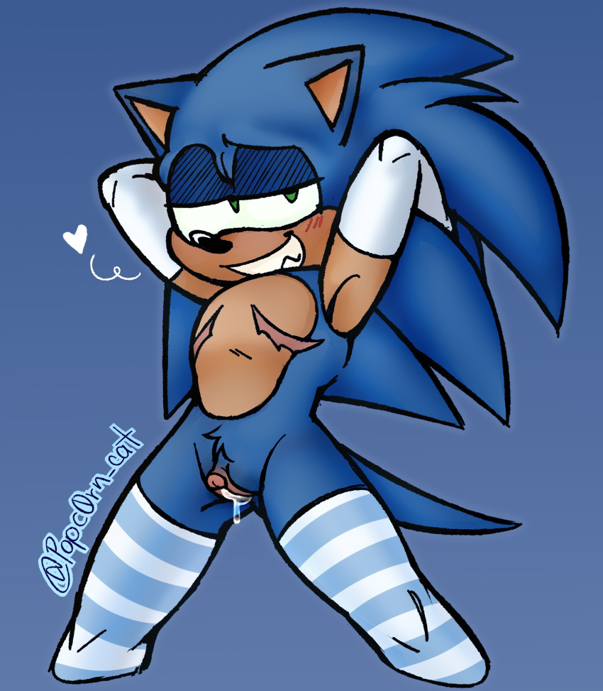 Sonic the hedgehog rule34