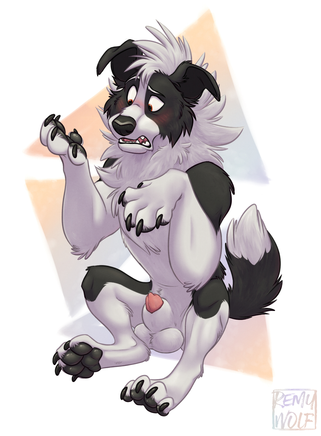 Rule 34 - 2021 Animal Genitalia Animal Penis Anthro Balls Black Body Black  Fur Blush Border Collie Canid Canine Canine Penis Canis Collie Digital  Media (artwork) Domestic Dog Floppy Ears Fur Genitals