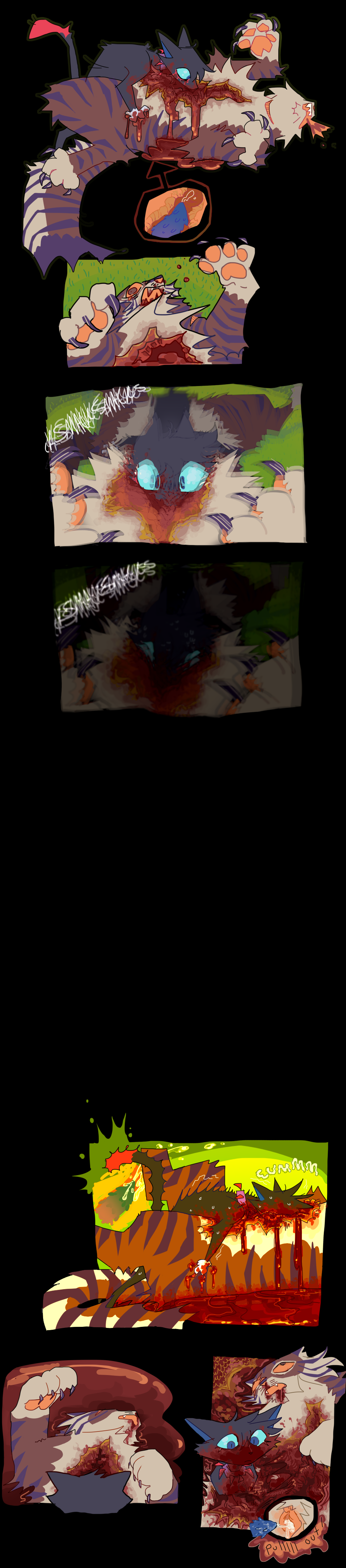 Warrior cats tier list