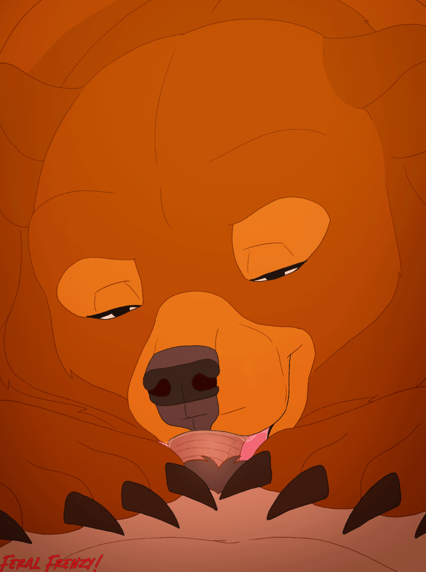 Rule 34 - 2022 Bear Bedroom Eyes Bestiality Blowjob Brown Bear Brown Body  Brown Fur Claws Claws Out Collaboration Duo Fellatio Fellatio From Feral  Female Feral First Person View Fur Genitals Hi