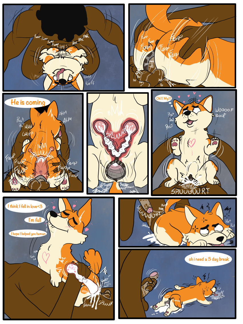 Rule 34 - Absurd Res After Sex Anatomically Correct Anatomically Correct  Genitalia Anatomically Correct Pussy Animal Genitalia Animal Pussy Ass  Balls Balls Deep Bitting Lip Bodily Fluids Brown Body Brown Skin Butt