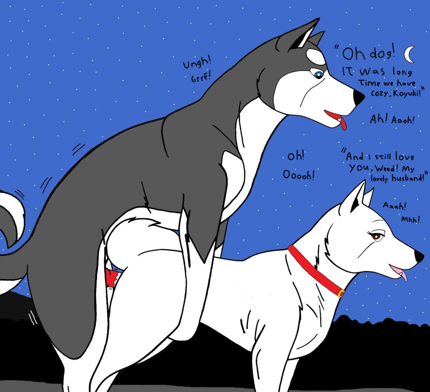 Rule Akita Inu Bodily Fluids Breath Canid Canine Canis Cum Cum On