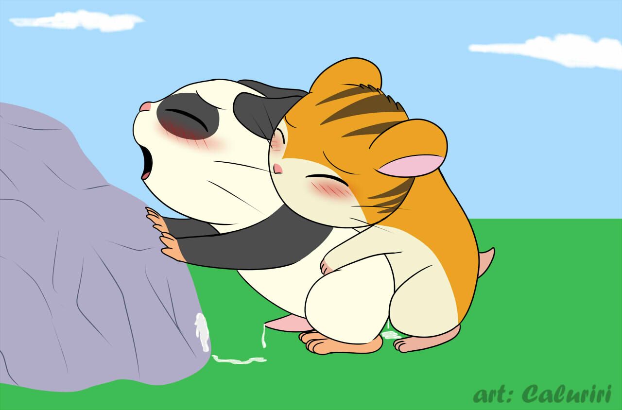 Stan (hamtaro) Porn - Rule 34