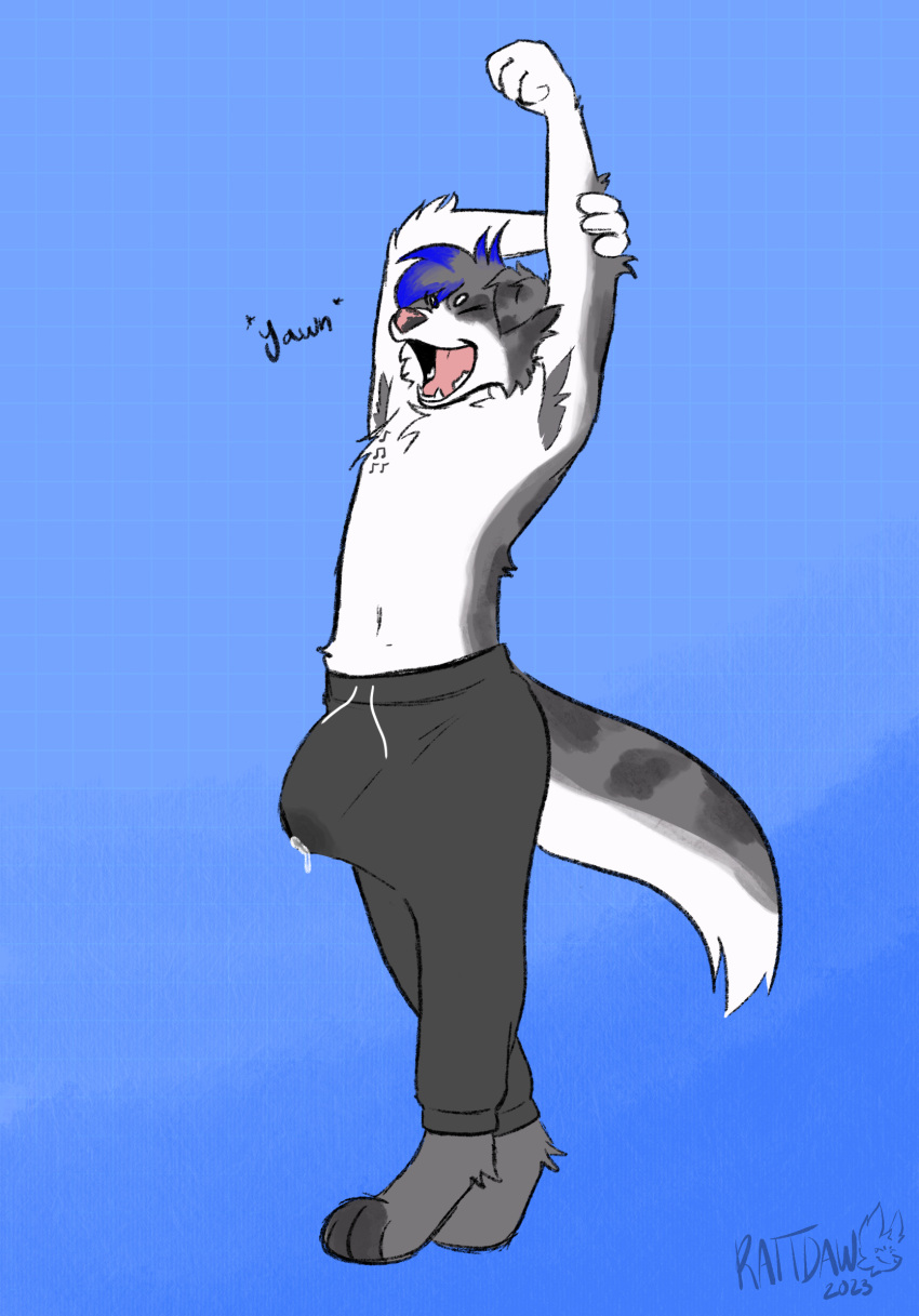 Rule 34 - 1boy Anthro Armpit Hair Australian Shepherd Blue Hair Bodily  Fluids Body Hair Bulge Canid Canine Canis Clothing Cum Cum Drip Cum In  Clothing Cum Through Clothing Cum Through Pants