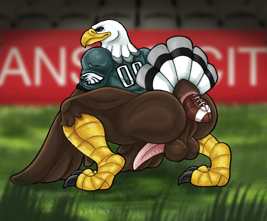 Rule 34 Accipitrid Accipitriform Anthro Anus Ass Avian Bald Eagle