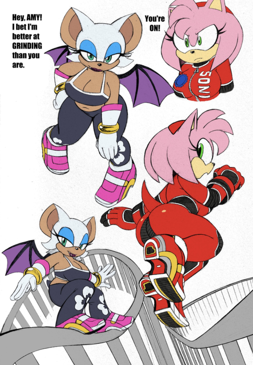 Rule Girls Amy Rose Big Ass Big Breasts Female Mobian Species Mobian Bat Mobian Hedgehog