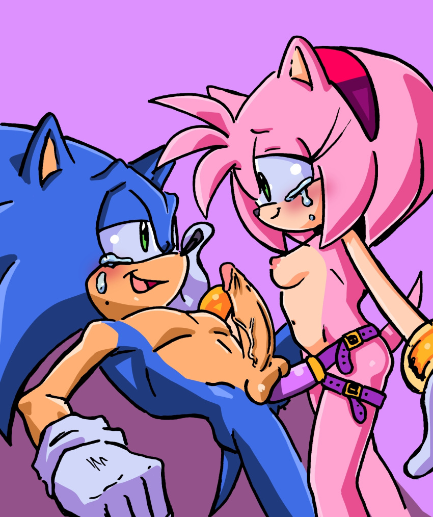 Rule 34 - Amy Rose Anthro Blush Breasts Duo Eye Contact Missionary Position  Pegging Randomguy999 Small Breasts Smile Sonamy Sonic (series) Sonic The  Hedgehog Straight Strap-on Tears Tears Of Pain Tears Of
