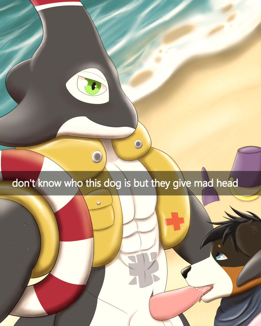Rule 34 - Absurd Res Anthro Australian Shepherd Bandai Namco Beach Bodily  Fluids Brick Break After Dark Canid Canine Canis Digimon Digimon (species)  Domestic Dog Duo Fellatio Herding Dog Hi Res Life