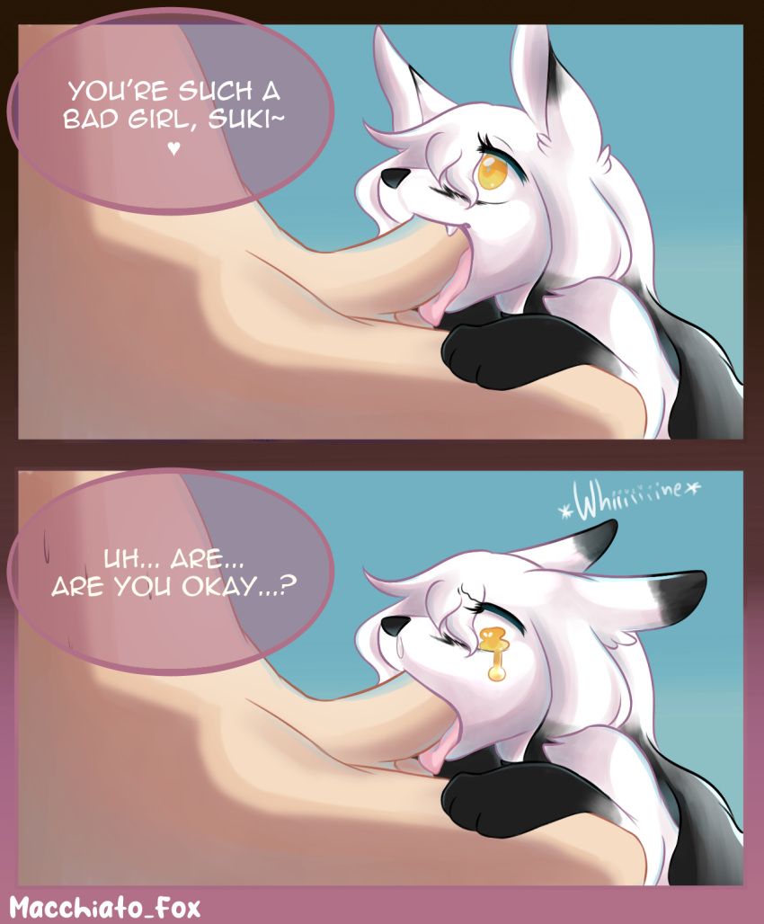 Macchiato Fox Porn - Rule 34