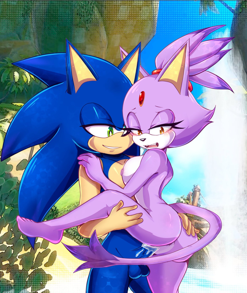 Rule 34 - 1boy 1girls Beach Beach Sex Blaze The Cat Blue Fur Breasts Ch4ng3  Dsaiandrew Erect Penis Lavender Fur Penetration Sega Sex Sonaze Sonic  (series) Sonic The Hedgehog Sonic The Hedgehog (