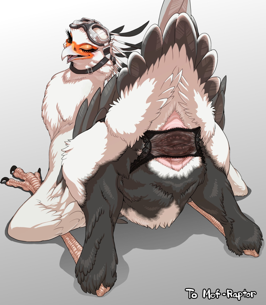 Avian Porn - Page 631 Of 1049 - Rule 34