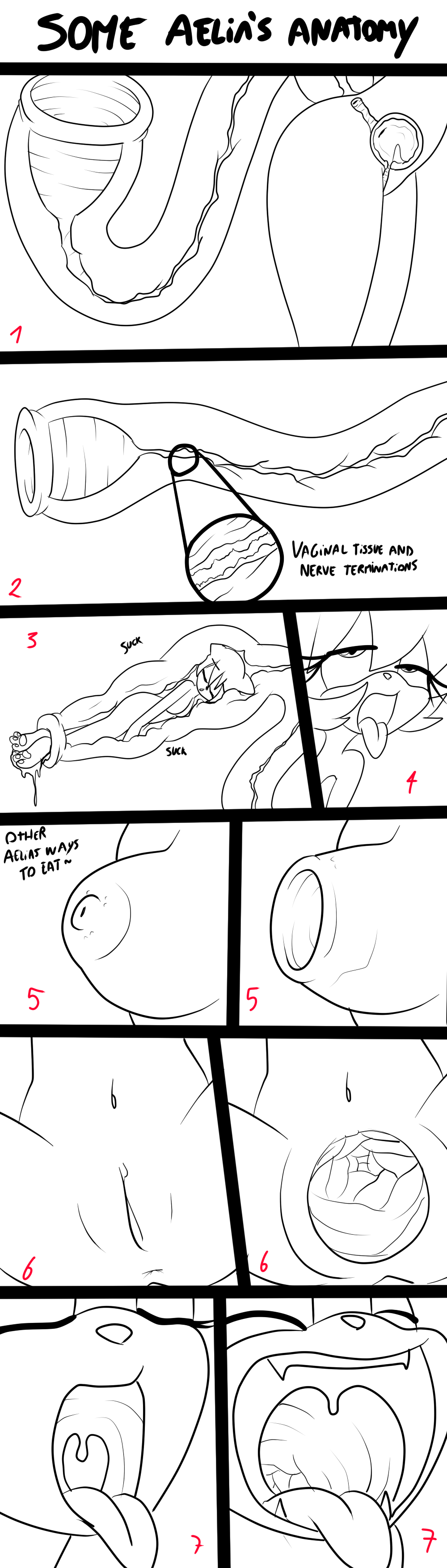 Rule 34 – 2:7 absurd res aelia the hedgehog (angeloid003) ahe gao anatomy angeloid003 anthro aroused breast vore breasts closed eyes cutaway duo english text eulipotyphlan eyes rolling back fangs female female/female female pred female prey genitals hedgehog hi res inside internal lidded eyes line art long tail longue looking pleasured mammal mobian hedgehog mobian pred mobian prey model sheet nipple fetish nipple play nipple vore nipples nude open mouth oral vore pussy solo tail fetish tail play tail vore teeth text tongue tongue out unbirthing uvula vaginal penetration vaginal tissue vore willing prey willing vore | 6796216