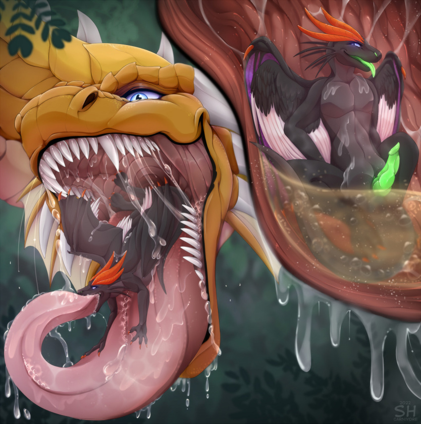 Rule 34 – anthro artist name black body black wings blue eyes bodily fluids bubble dragon drooling duo ear frill erection excessive saliva extreme french kiss fangs french kissing frill (anatomy) front view genitals green tongue grey body hi res horn hybrid wings inside stomach internal kissing knot male membrane (anatomy) membranous wings mouth shot nude open mouth oral vore orange body orange horn penis pink tongue purple wings saliva saliva on tongue saliva string santanahoffman sharp teeth size difference stomach acid tan frill teeth tongue tongue out vore white horn white wings wings | 6796977