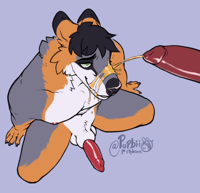 Rule 34 – anthro anthro on anthro balls black hair blue background bodily fluids canid duo erection fur genital fluids genitals glistening glistening eyes green eyes grey body grey fur hair high-angle view kneeling looking up male male/male mammal messy hair nude orange body orange fur peeing peeing on face penis pupbii red penis short hair signature simple background smile solo focus urine urine on face watersports white balls white body white fur white sheath | 6780058