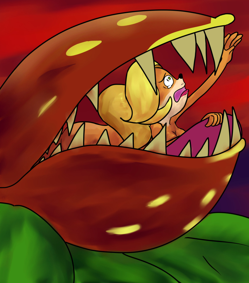 Rule 34 – activision ambiguous gender ambiguous pred anthro bandicoot blonde hair bodily fluids carnivorous plant coco bandicoot crash (series) duo female female/ambiguous female prey forced hair hi res mammal marsupial naked prey nude plant plant vore scared sketchmantel soft vore struggling swallowing tears unwilling prey video games vore | 6618292