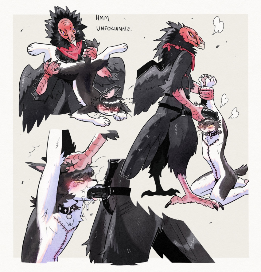 Rule 34 – > < >~< 2022 accipitrid accipitriform ambiguous fluids andromorph andromorph/andromorph andromorph penetrated andromorph penetrating andromorph penetrating andromorph anthro avian beak bird birdpaw (artist) black body black claws black collar black dildo black feathers black hair black wings blush border claws closed eyes collar countershade face countershade fur countershade legs countershade torso countershading cute fangs dialogue digital media (artwork) dildo domestic cat dominant dominant andromorph dominant anthro dominant intersex duo ear piercing english text facial piercing feathered wings feathers felid feline felis fur hair hand on hair hand on head hi res intersex intersex/intersex intersex penetrated intersex penetrating intersex penetrating intersex kerchief kneeling leg tuft looking at genitalia mammal multicolored body multicolored eyes multicolored fur multiple images neck tuft neckerchief nose piercing nose ring nude old world vulture open mouth pawpads penetration piercing pink inner ear pink pawpads pink talons pink tongue red-headed vulture red face red kerchief red neckerchief ring piercing sewn torso sex sex toy sex toy fellatio simple background spiked collar spikes strapon strapon fellatio strapon sex submissive submissive andromorph submissive anthro submissive intersex tail grab talon hands talons tan background teeth text tongue toying partner tuft two tone body two tone fur vulture wavy mouth whiskers white body white border white countershading white fur wings yellow beak yellow eyes | 6769150