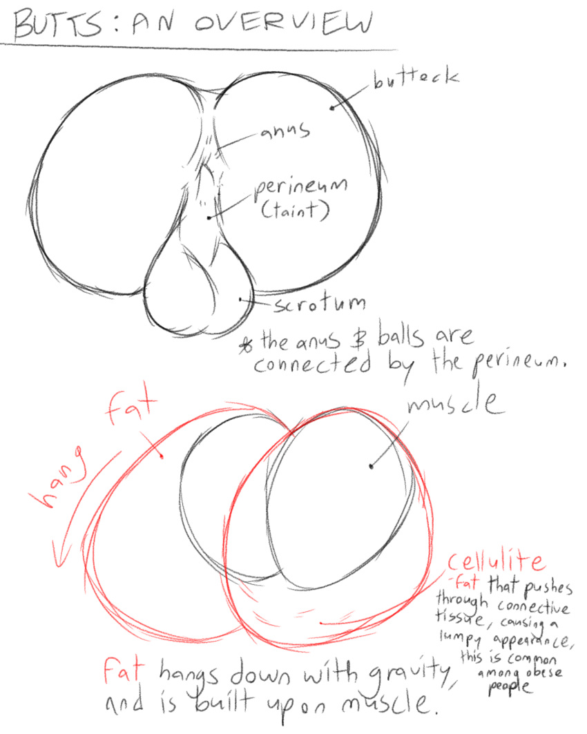 Rule 34 – anus ass backsack balls educational filthyopossum perineum scrotum tagme taint tutorial | 7010640