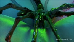 Rule 34 – 1girls 2022 aerith gainsborough alien alien (franchise) animated ass belly bulge belly expansion belly inflation blender breasts breathing closed eyes consensual cum cum in pussy cum inside egg implantation expansion facehugger female female moaning final fantasy final fantasy vii green eyes hand on leg impregnation interspecies kittenvox large breasts leaning back lifted legs medium breasts moaning in pleasure monster mp4 nipples open mouth oviposition parasite penetration pregnant proboscis pussy pussy close-up pussy hugger sex short hair sitting size difference sound sound effects sparks spread legs square enix tail taker pov thenestnsfw vaginal egg implantation vaginal penetration video voice acted willing xenomorph xenomorph queen | 6983608