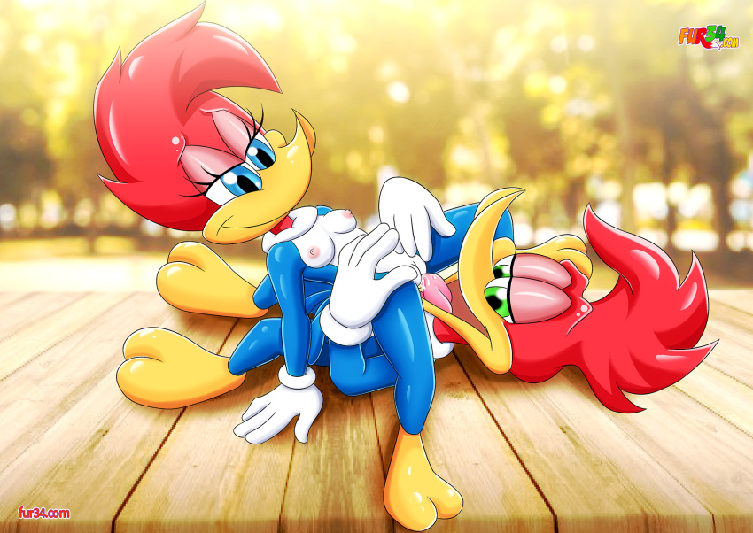 Woody Woodpecker porno rasmlar