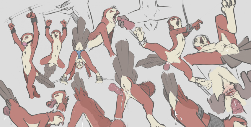 Rule 34 – ambiguous gender animal genitalia anthro avian beak bird bodily fluids cloaca cloacal cloacal penetration clothing cum cum from cloaca cum in cloaca cum in mouth cum inside duo erection feathers gag genital fluids genitals hi res looking pleasured lying male male penetrating nude on back open mouth oral owl penetration penile penile penetration penis penis in cloaca restrainted sex simple background tuke underwear | 7326540