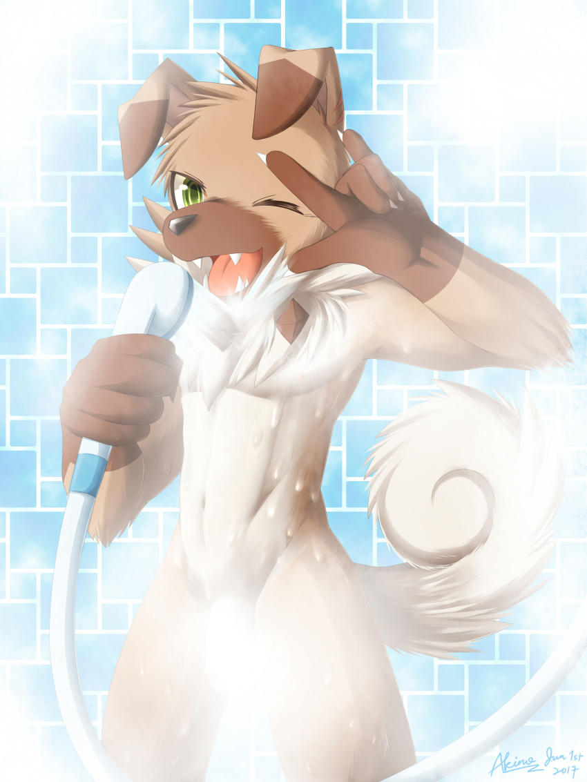 Rule 34 – 3:4 absurd res akino-kamihara anthro balls barely visible balls barely visible genitalia barely visible penis bathroom tiles brown body brown fur censored clothing convenient censorship curled tail dipstick ears fangs fur generation 7 pokemon genitals gesture gloves green eyes handwear hi res looking at viewer male multicolored ears neck tuft nintendo nude one eye closed penis pokemon pokemon (species) rockruff shower shower head solo steam steam censorship teeth tuft wet white body white fur | 7318716