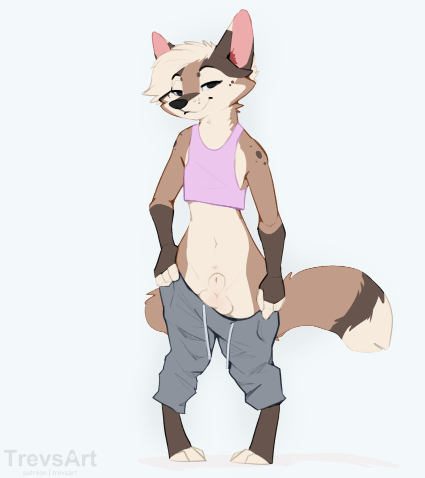 Rule 34 – animal genitalia anthro balls bottomwear brown eyes canid canine clothed clothing drawstrings fully sheathed fur genitals grey bottomwear grey clothing grey pants hi res looking at viewer lowered pants male mammal multicolored body multicolored fur navel pants partially clothed pink clothing pink shirt pink topwear sheath shirt simple background solo spots teakfur topwear trevart | 7499951