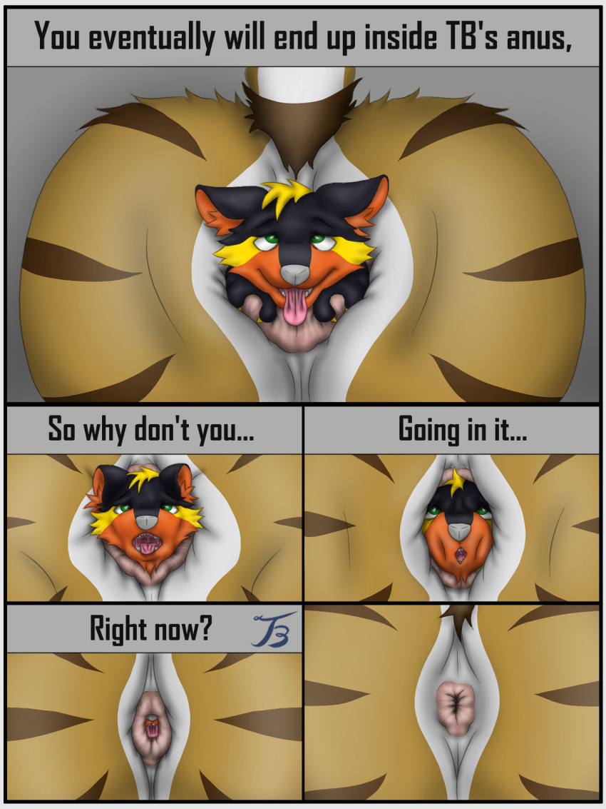 Rule 34 – anal anal sex anal vore andromorph anthro anus ass black body black fur canid canine canis comic domestic dog felid fur gevo husky green eyes grey nose hi res husky intersex looking pleasured male mammal nordic sled dog orange body orange fur pantherine penetration raised tail simple background spitz tail text tiger tigerboy0916 tongue tongue out vore willing prey willing vore yellow body yellow fur | 7499944