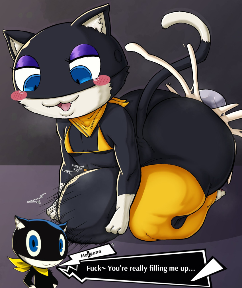 Rule 34 – anthro ass atlus banana belly bulge big ass big butt big penis bikini top black body black fur blue eyes bulge cum cum in ass cum inside feline fur huge ass huge butt male male only morgana (persona) penis penis in ass persona persona 5 persona 5 royal slushiebest stomach bulge tail text text box thick thighs thighhighs tuxedo cat veiny penis white fur wide hips | 7578277