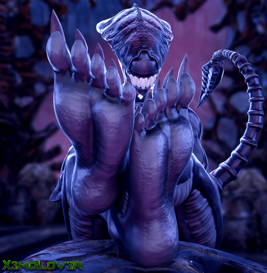 Rule 34 – 1girls 5 toes alien alien (franchise) alien girl alien humanoid barefoot big feet big teeth claws collar dangerous excella eyeless feet feet together feet up female female xenomorph foot fetish foot focus foot worship grin hi res hive humanoid legs lying mommy mommy kink monster monster girl (genre) muscular muscular female naked naked footwear not furry nude nude female on back presenting presenting feet seductive seductive look seductive smile sharp claws sharp nails sharp teeth sharp toenails showing feet showing off showing teeth sitting size difference size play smile soles solo tail teeth thekidxeno toe claws toenails toes xenomorph xenomorph queen | 7518493