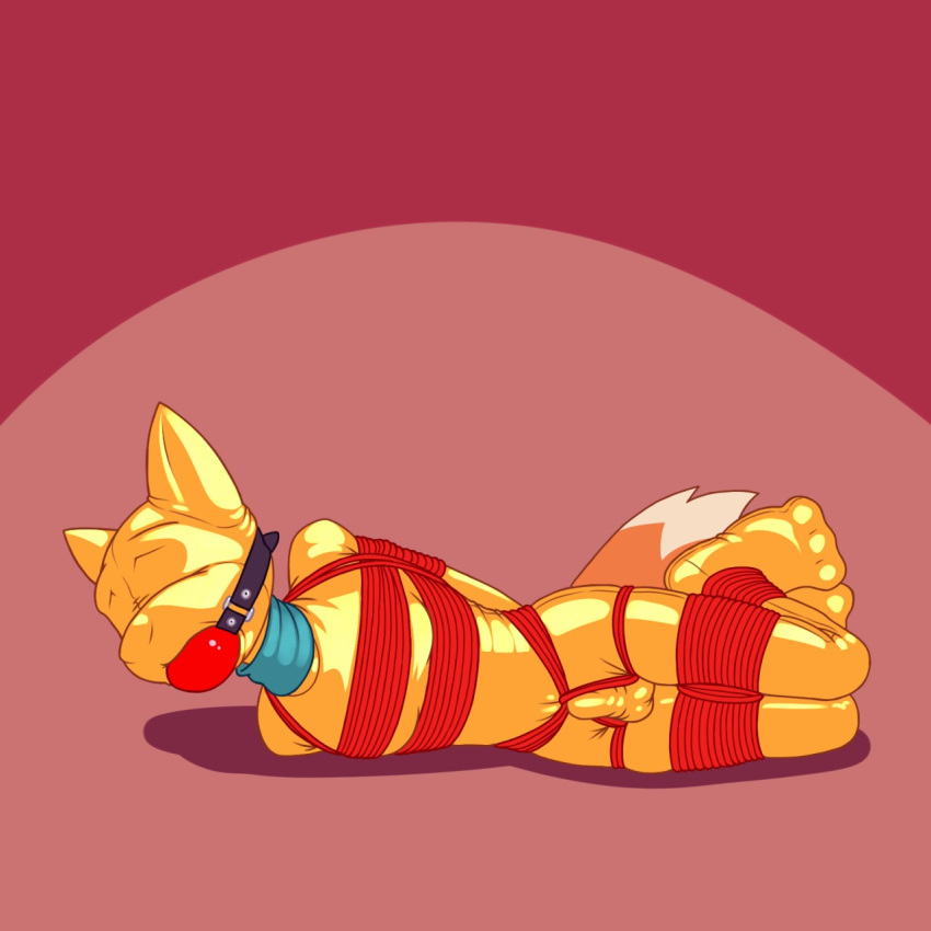 Rule 34 – 1:1 anthro ball gag bondage bound bulge canid canine clothing fox furry gag genital outline hi res lying male male only mammal penis outline rope rope bondage rope harness scarf shiny (disambiguation) simple background solo spandex tight clothing whistleristler zentai | 3594550
