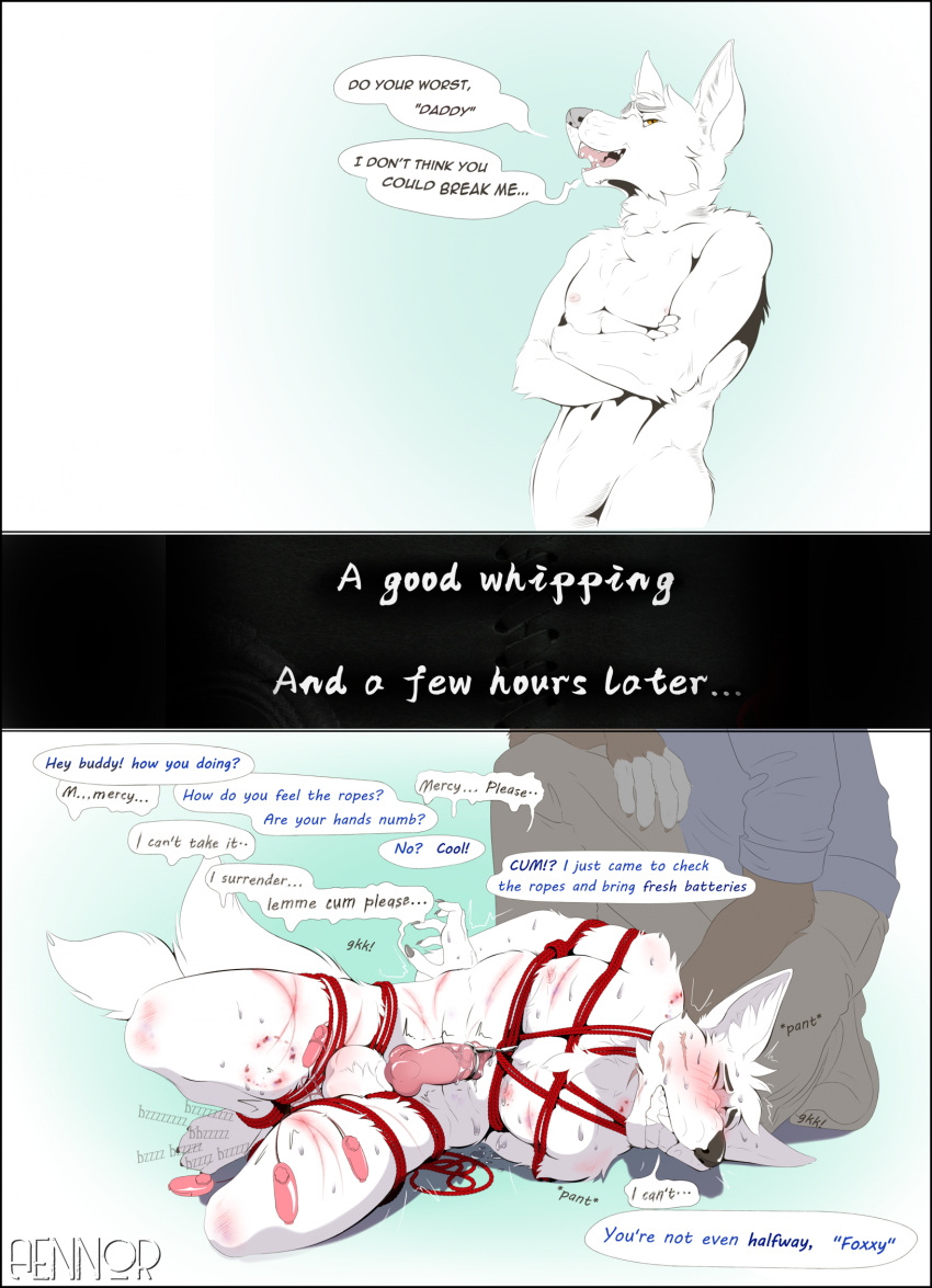 Rule 34 – 2 tails aennor anthro begging begging for mercy begging to cum bite mark black border bodily fluids bondage bondage border bound canid canine clenched teeth comic dialogue dirty talk dominant dripping duo english text erection fox fur genital fluids hi res hogtied kneeling knot looking at viewer male male/male mammal multi tail orgasm denial precum precum drip restrained arms restrained legs restraints rope rope bondage rope harness scar sex toy submissive sweat tagme tail teasing teeth text urethral vibrator vibrator controller whip mark | 7616246