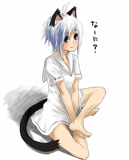 takano saki, original, jpeg artifacts, 1girl, animal ears, barefoot, cat ears, cat tail, female focus, indian style, sitting, solo, tail