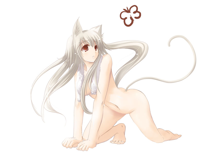 satomi (black scarecrow), 1girl, albino, all fours, animal ears, barefoot, bug, butterfly, cat ears, cat tail, female focus, insect, long hair, no panties, nude, open clothes, open shirt, red eyes, shirt, solo, tail, towel, white hair