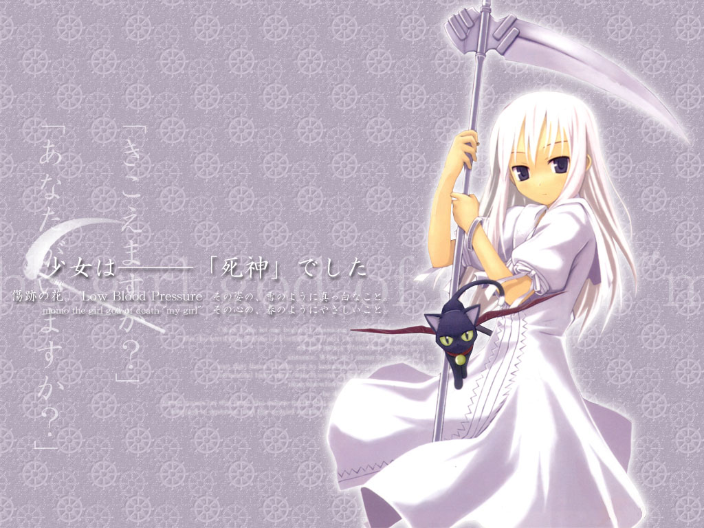 nanakusa, daniel, daniel (shinigami no ballad), momo (shinigami no ballad), shinigami no ballad, 00s, 1girl, black cat, blue eyes, cat, female focus, scythe, solo, white hair