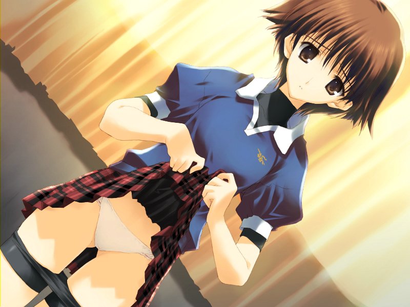 mitsumi misato, nakamura takeshi, hazuki maho, maho hazuki, tenshi no inai 12-gatsu, game cg, 1girl, androgynous, bike shorts, bike shorts pull, breasts, brown eyes, brown hair, clothes lift, clothes pull, collared shirt, cowboy shot, curtains, dutch angle, emblem, female focus, indoors, lifting own clothes, looking at viewer, midriff, panties, pantyshot, plaid clothes, plaid skirt, pleated skirt, polo shirt, puffy short sleeves, puffy sleeves, raised eyebrows, red skirt, shirt, short sleeves, shorts, shorts pull, skirt, skirt lift, small breasts, solo, spandex, standing, thigh gap, tomboy, turtleneck, underwear, undressing, white panties