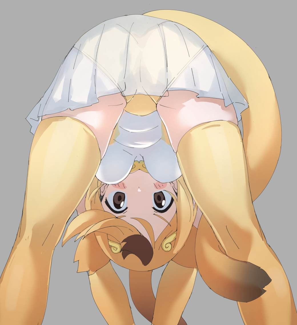 lowlandgorilla, golden snub-nosed monkey (kemono friends), kemono friends, 1girl, animal ears, ass, bent over, blonde hair, blush, breasts, circlet, elbow gloves, from behind, gloves, hanging breasts, leotard, long hair, looking at viewer, medium breasts, monkey ears, monkey girl, monkey tail, multicolored hair, ponytail, see-through clothes, short hair, skirt, solo, tail, thighhighs, yellow leotard, yellow thighhighs