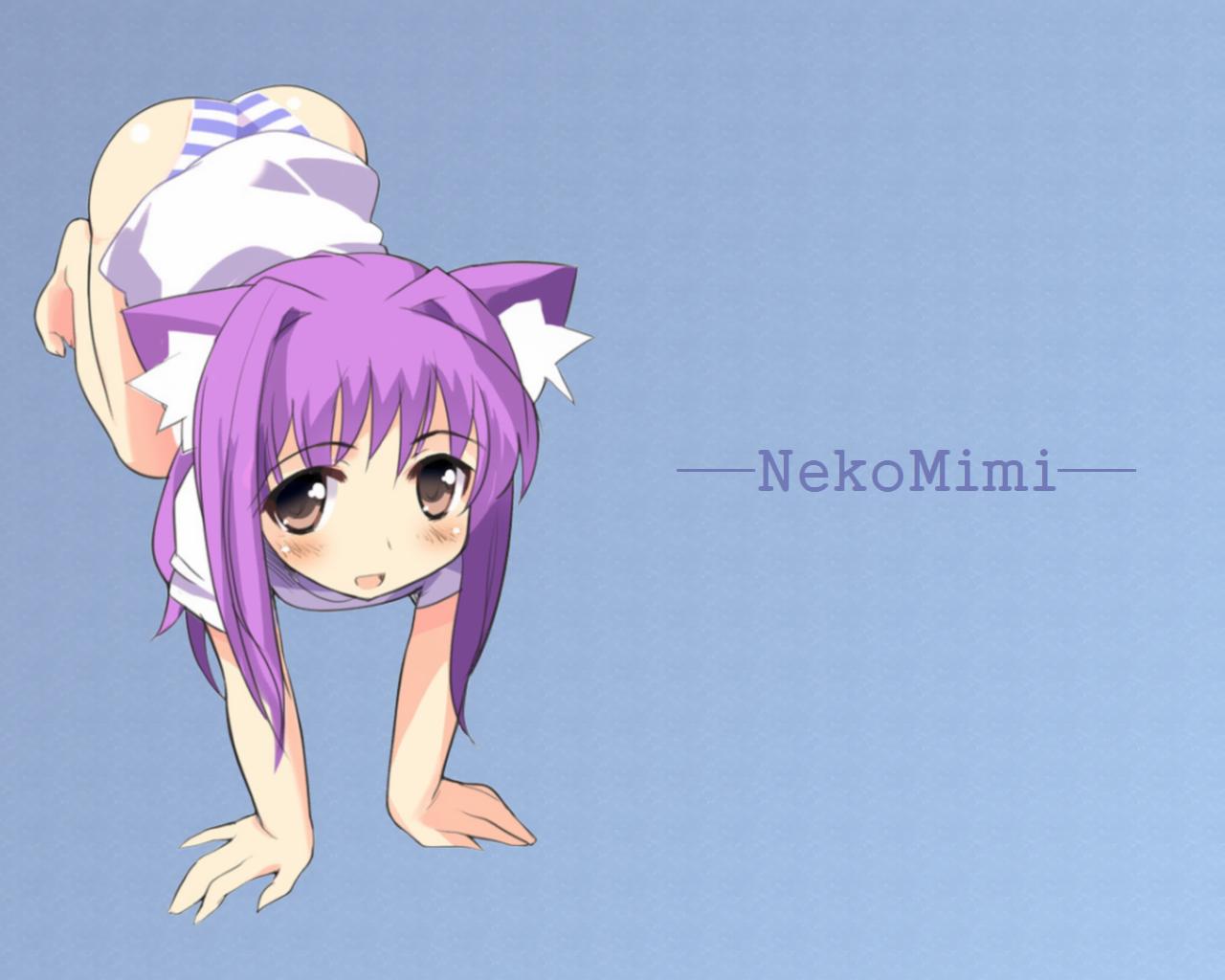 sikorsky, striped, 1girl, all fours, animal ears, ass, blue panties, blush, cat ears, female focus, full body, long hair, panties, purple eyes, purple hair, solo, underwear
