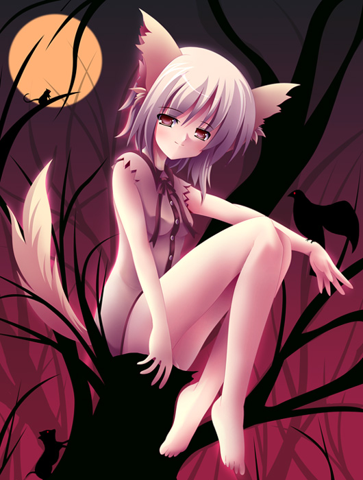 yamamoto nori, 1girl, animal ears, barefoot, bottomless, dog ears, female focus, moon, short hair, silhouette, solo, tail