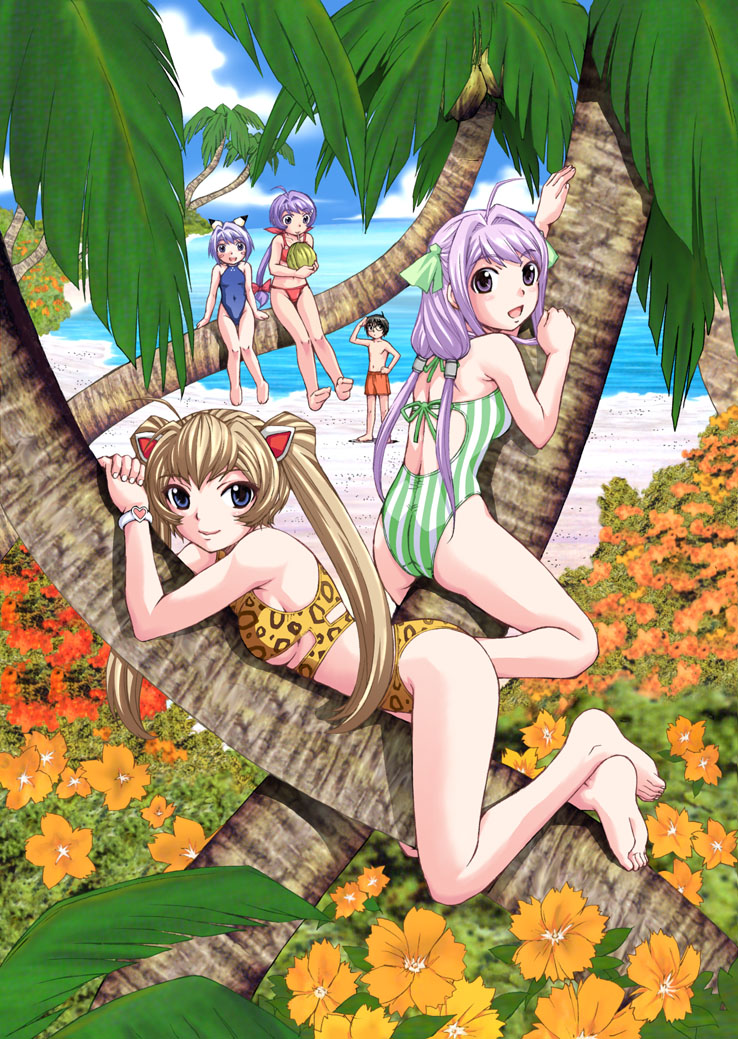 mamiya ayumi, yoshikawa chiaki, yoshikawa fuyuno, yoshikawa maika, magikano, bad id, 00s, 1boy, 4girls, animal print, ass, back, beach, bikini, blue eyes, brown hair, casual one-piece swimsuit, comic, cover, cover page, day, flower, leopard print, long hair, male swimwear, multiple girls, one-piece swimsuit, orange flower, orange male swimwear, orange swim trunks, outdoors, purple eyes, purple hair, short hair, sitting, striped bikini, striped clothes, striped one-piece swimsuit, swim trunks, swimsuit, twintails, vertical-striped bikini, vertical-striped clothes, vertical-striped one-piece swimsuit