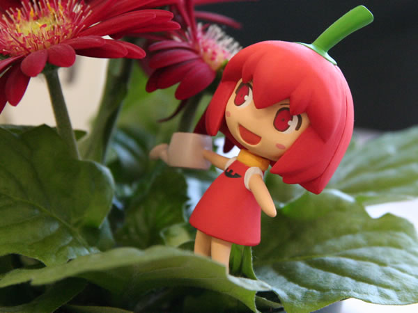 habanero-tan, photo (medium), chibi, chibi only, chili pepper, figure, flower, habanero pepper, plant, solo, watering can