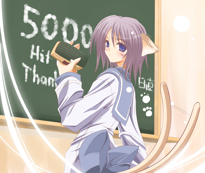 satomi (black scarecrow), 1girl, animal ears, blue eyes, board eraser, cat ears, cat tail, chalkboard, female focus, milestone celebration, purple hair, school uniform, serafuku, solo, tail