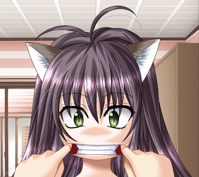 game cg, 1girl, animal ears, cat ears, fangs, fingersmile, solo focus, teeth