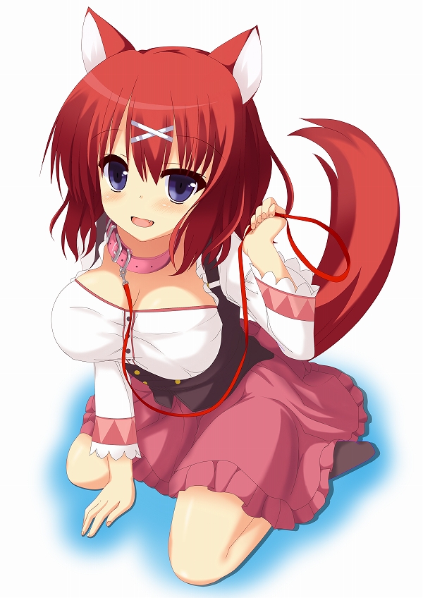 takanashi kou, masaki gaillard, amairo islenauts, commentary request, 1girl, :d, animal collar, animal ears, blue eyes, blush, breasts, cleavage, collar, fang, frilled skirt, frilled sleeves, frills, from above, full body, hair ornament, hand up, holding, holding leash, holding own leash, large breasts, leash, long sleeves, looking at viewer, medium hair, no shoes, offering leash, official alternate costume, open mouth, pink collar, pink skirt, red hair, shirt, simple background, sitting, skirt, smile, solo, tail, waitress, wariza, white background, white shirt, wide sleeves, wolf ears, wolf girl, wolf tail, x hair ornament