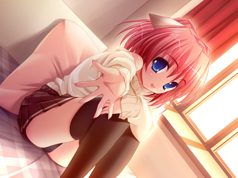 inuzumi masaki, natsume eri, faye mcclintock, neko kawaigari!, nekokawaigari, game cg, 1girl, animal ears, bed, black panties, black thighhighs, blue eyes, cat ears, dutch angle, fang, female focus, miniskirt, open mouth, outstretched arm, outstretched hand, panties, pantyshot, pillow, pink hair, pov, reaching, short hair, sitting, skirt, smile, solo, sweater, thighhighs, underwear, window