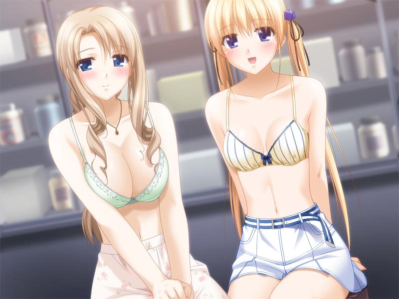 kani biimu, mukai mana, mukai yumiko, nami no manimani, game cg, 2girls, age difference, blonde hair, blue eyes, blush, bow, bow bra, bra, breasts, brown hair, cleavage, cube hair ornament, green bra, hair ornament, large breasts, lingerie, mature female, mother and daughter, multiple girls, sitting, striped bra, striped clothes, swimsuit, twintails, underwear, vertical-striped bra, vertical-striped clothes, yellow bra