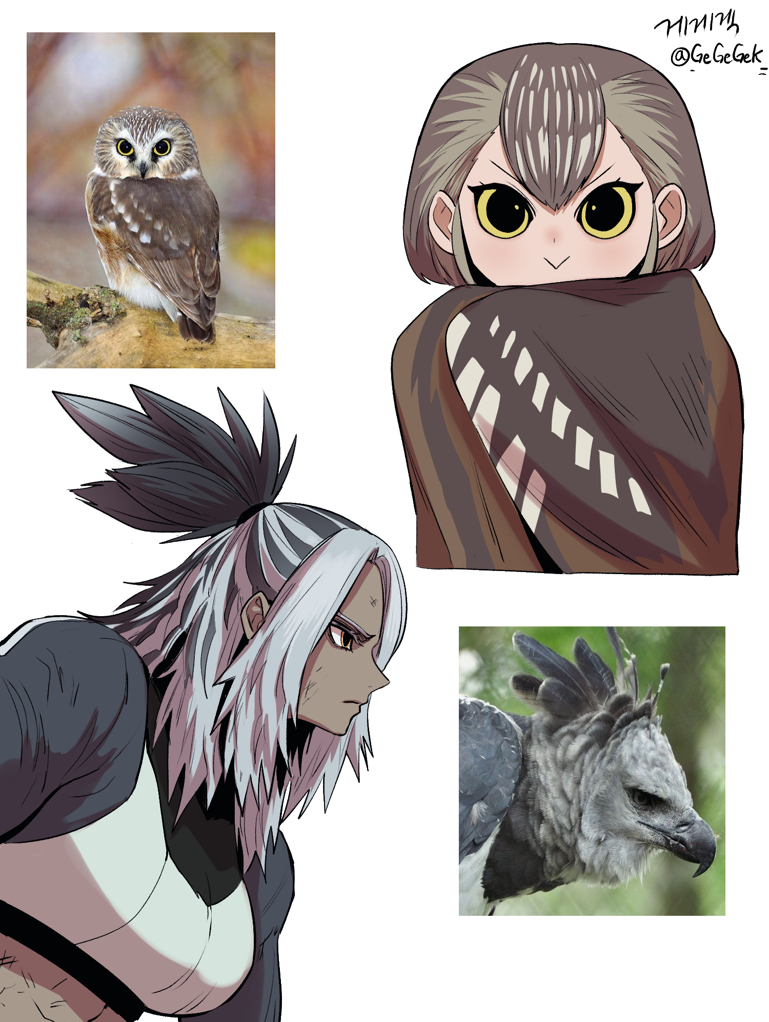 gegegekman, original, highres, 2girls, :>, artist name, bird, bird girl, black hair, black skirt, bob cut, brown cloak, brown eyes, cloak, closed mouth, creature and personification, dark-skinned female, dark skin, dress, from side, frown, grey hair, hair between eyes, korean text, looking at viewer, multicolored hair, multiple girls, owl, owl girl, personification, reference inset, short hair, signature, simple background, skirt, topknot, turning head, twitter username, two-tone hair, upper body, v-shaped eyebrows, white background, white dress, yellow eyes