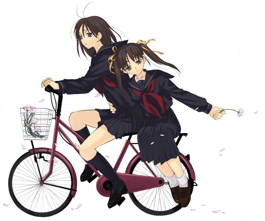 original, black footwear, brown footwear, white legwear, 2girls, antenna hair, arm around waist, basket, bicycle, black serafuku, black shirt, black skirt, black socks, blouse, blue eyes, daisy (flower), expressionless, flower, from side, green eyes, hair ribbon, holding, holding flower, kneehighs, leaning on person, leaning to the side, loafers, long sleeves, looking at viewer, multiple girls, multiple riders, neckerchief, petals, pleated skirt, ribbon, riding, riding bicycle, school uniform, serafuku, shirt, shoes, sidesaddle, simple background, skirt, socks, twintails, white background, yellow ribbon