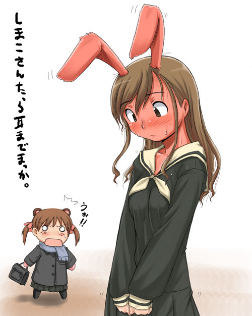 fukuzawa yumi, toudou shimako, maria-sama ga miteru, tagme, 00s, animal ears, rabbit ears, simple background, white background